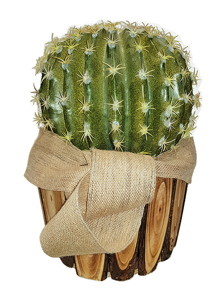 Cactus Bola Artificial