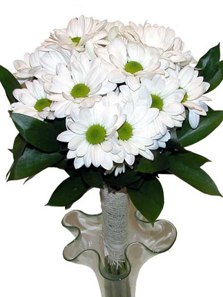 Bouquet de Novia Margaritas blancas