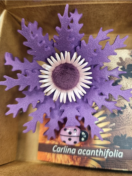 Eguzkilore peque�a