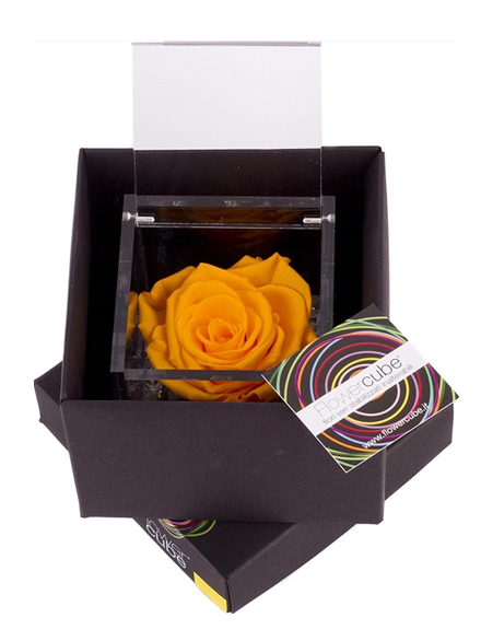 Flowercube Amarilla 10x10