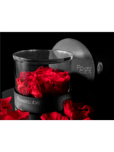 Flowercube Platino 7 rosas