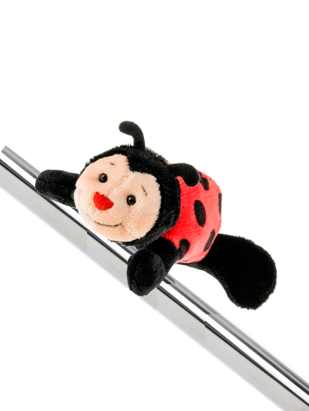 Im�n Nici Mariquita